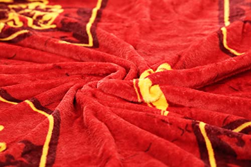 Harry Potter Manta, Manta de Gryffindor, Diseño de Hogwarts, Manta de Sofá Cama, Forro Polar Suave y Cálida, Regalo de Harry Potter, 120 x 160 cm