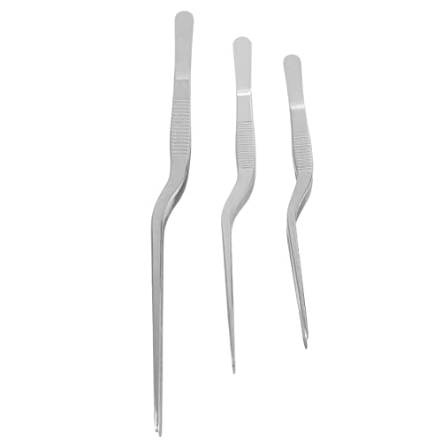 Healifty Juego de pinzas de bayoneta Adson de 3 piezas de acero inoxidable dentadas pinzas de precisión (plata) 14/16/20 cm
