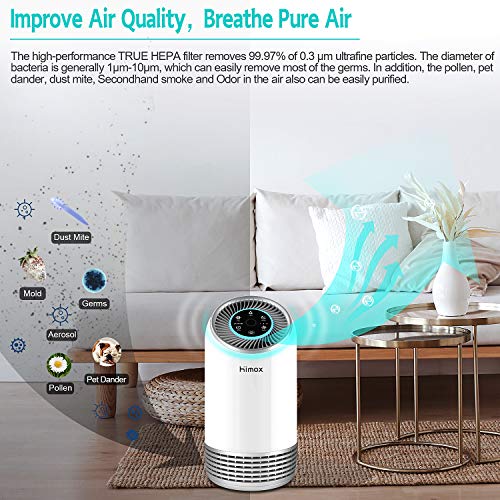 HIMOX Purificador Aire HEPA H13, Purificador de Aire con Filtro HEPA de Medical Grade, Purificador Aire con Aromaterapia Captura Virus, Alergias, Bacterias, Polen, Humo, Olores, Mascotas (Blanco)