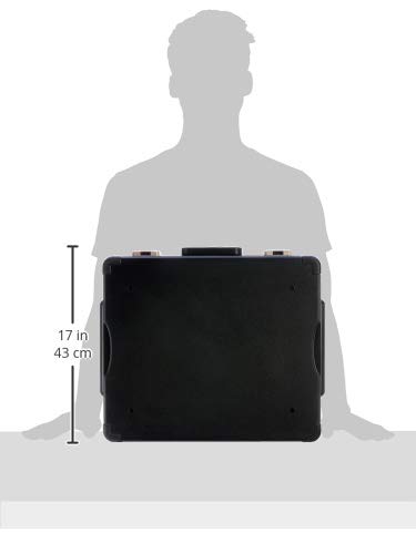Honeywell 1104 - Caja fuerte para guardar documentos, impermeable, ignífuga, 11.1L