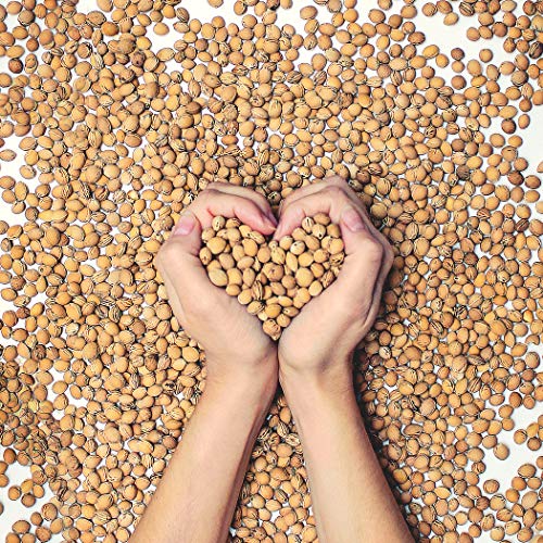Huesos de cereza - 1 kg/25 kg - Núcleos para cojín de granos de cerezo Talla:10kg
