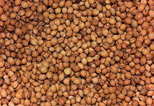 Huesos de cereza - 1 kg/25 kg - Núcleos para cojín de granos de cerezo Talla:10kg