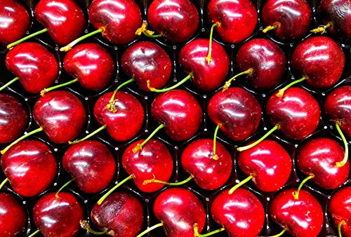 Huesos de cereza - 1 kg/25 kg - Núcleos para cojín de granos de cerezo Talla:10kg