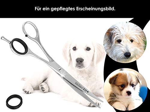 InstrumenteNrw Tijeras profesionales de pelo para perros, tijeras para perros y pelos, tijeras curvadas para pelo y pelo de 20,32 cm