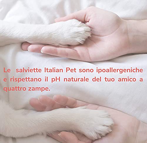 Italian Pet Toallitas de Clorhexidina para la higiene de Perros y Gatos. Toallitas Desinfectantes para Limpiar Las Patas y el Pelo de tu Mascota. Hipoalergénicas y Resistentes. Grandes (40 Unidades)