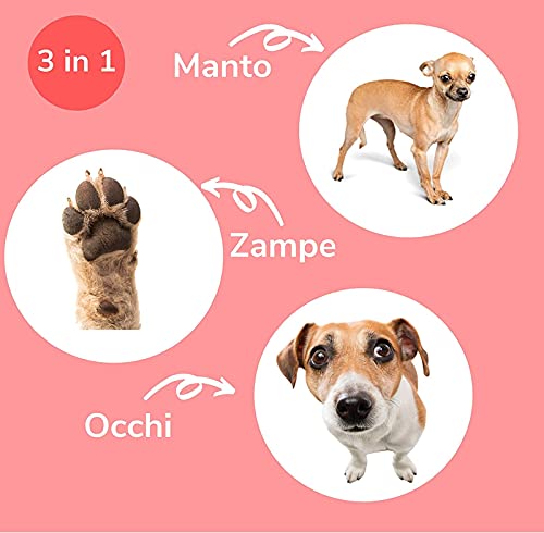 Italian Pet Toallitas de Clorhexidina para la higiene de Perros y Gatos. Toallitas Desinfectantes para Limpiar Las Patas y el Pelo de tu Mascota. Hipoalergénicas y Resistentes. Grandes (40 Unidades)