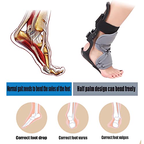 JMYSD AFO Foot Drop Ortesis Soporte para Pies, Foot Drop Foot Lesión Nerviosa Rehabilitación Entrenamiento Pie Varo Ortesis Talón, Tobillo, Arco Dolor De Pie,Left,L