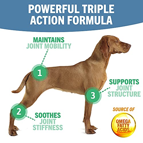 JOINTSURE condroprotector Perros| 120 Comprimidos | con mejillón de Labio Verde, glucosamina y condroitina Natural. | Este antiinflamatorio para Perros.