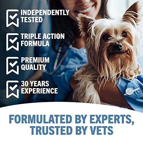 JOINTSURE condroprotector Perros| 120 Comprimidos | con mejillón de Labio Verde, glucosamina y condroitina Natural. | Este antiinflamatorio para Perros.
