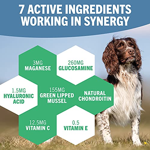 JOINTSURE condroprotector Perros| 120 Comprimidos | con mejillón de Labio Verde, glucosamina y condroitina Natural. | Este antiinflamatorio para Perros.