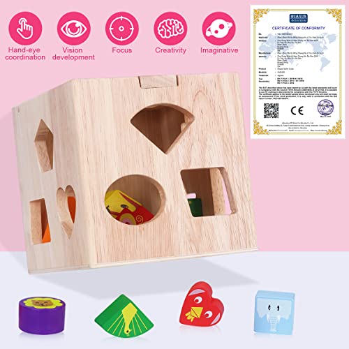 Juguete de Madera Montessori Rompecabezas de Madera de Cubo de Actividades Habilidades motoras para bebés Juego de clasificación de Forma y tamaño Juguete de Aprendizaje Educativo de para niños