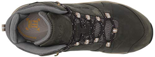 KEEN Terradora 2 Leather Mid Height Waterproof, Botas para Senderismo Mujer, Magnet Plaza Taupe, 35 EU