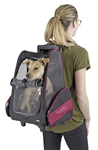 Kerbl Bolsa con Carrito 80596 Axion (42 x 25 x 55 y 103 cm), Color Negro y Rojo