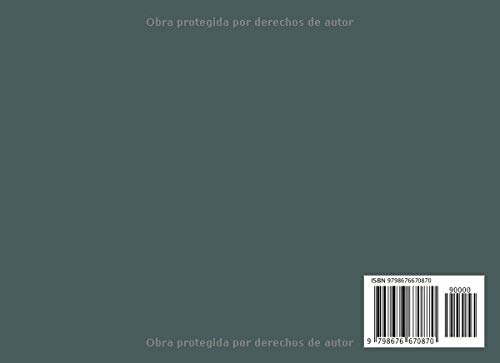 Kilometraje Y Gas Registro: Libro de registro automovil, Diario de viaje, seguimiento de kilometraje para vehículo de servicio, empresa o particular, más de 1000 viajes