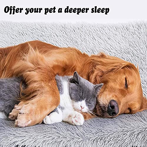 KingMSPG Calming XL - Cama para perro, tamaño grande, mullido y esponjoso, cama ortopédica para perro, tamaño mediano, extraíble, lavable para perros grandes y medianos pequeños