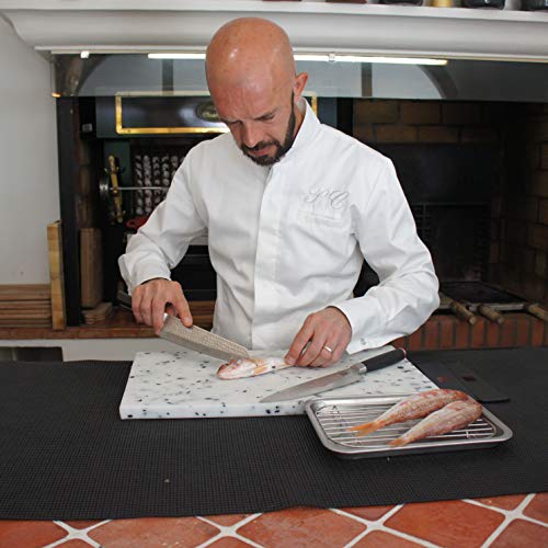 KOTAI - Cuchillo de chef japonés profesional - acero inoxidable de alto carbono AUS-8. Cuchillo de cocina con hoja de 20cm y mango de ébano - Cuchillo Japonés Kiritsuke con funda