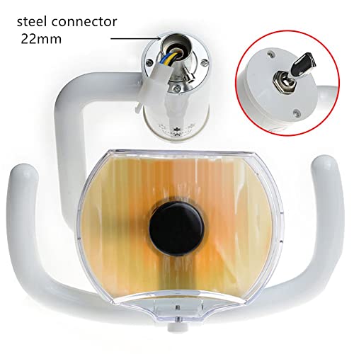 KUUY Lámpara Dental Halógena 22MM, Lámpara de Examen Oral sin Sombra Accesorios para el Sillón Dental