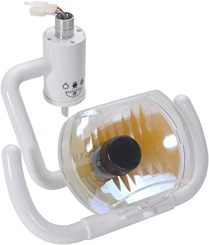 KUUY Lámpara Dental Halógena 22MM, Lámpara de Examen Oral sin Sombra Accesorios para el Sillón Dental