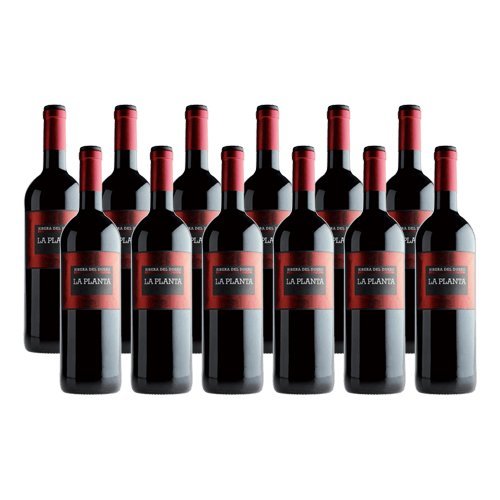 La Planta de Arzuaga Tinta Fina - Vino Tinto - 12 Botellas