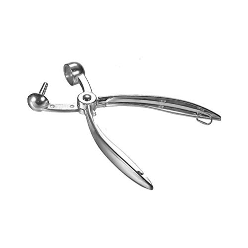 Lalone Deshuesador de Cerezas,Longitud: 18,5 cm, deshuesador de Cerezas y Aceitunas Huesos de Cereza de Acero Inoxidable Utensilios de Cocina para Quitar rápidamente los Huesos de Frutas