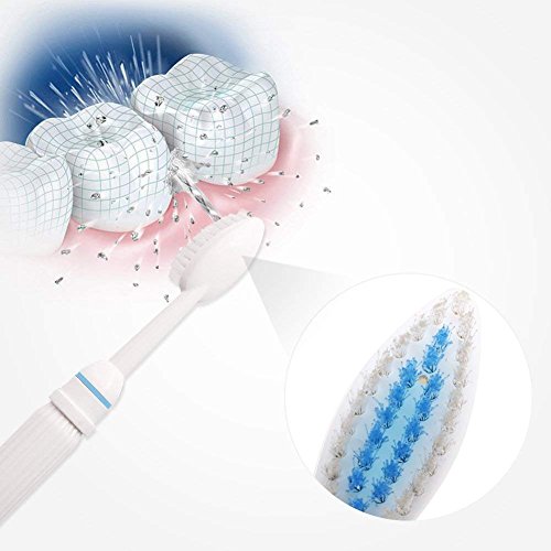 LanXi Irrigador dental limpieza no eléctrico, incluye 3 boquillas y 3 cepillos de dientes, fácil de instalar y quitar