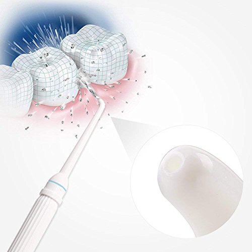 LanXi Irrigador dental limpieza no eléctrico, incluye 3 boquillas y 3 cepillos de dientes, fácil de instalar y quitar