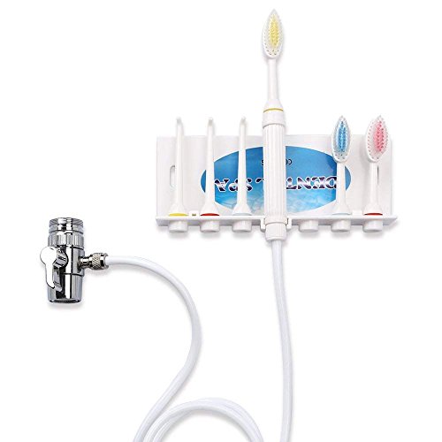 LanXi Irrigador dental limpieza no eléctrico, incluye 3 boquillas y 3 cepillos de dientes, fácil de instalar y quitar