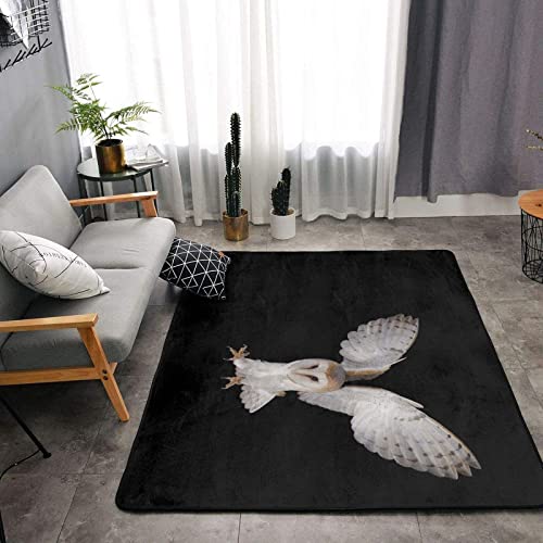 LINGF Barn Owl Area Rugs 60x39 Inch,Floor Mat with Non-Slip Rubber Backing,Soft and Comfortable Living Room,Bedroom,Game Room Carpet