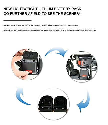 LLSS Scooter eléctrico para Adultos con Silla de Ruedas para discapacitados, Motor de Alta Potencia de 500 W Que Puede equiparse con baterías de Litio duales