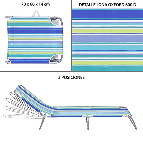LOLAhome Tumbona Playa Plegable Gris Hierro de 24x186x53 cm