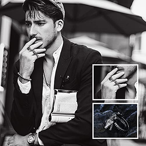 LOLIAS 16Pcs Vintage Punk Rings Juego de Anillos Abiertos góticos para Hombres Mujeres Ajustable Snake Dragon Claw Anillos de Animales Vintage Goth Skull Rings Indie Aesthetic
