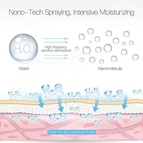 LQH -Vaporizador Facial, Vaporizador Facial Nano Iónico Atomizador Humidificador Humectante Humidificador De Niebla Caliente Inhalador De Sauna para Limpieza Profunda,Púrpura
