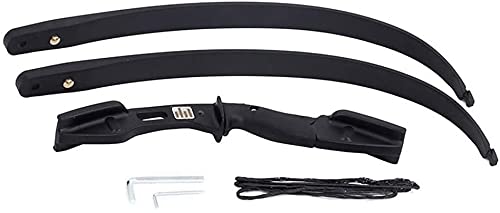LXNQG Kit de Arco recurvado de Tiro al Aire Libre, Largo y Flecha Desmontable con asa de Arco de Aluminio para Mujeres y Hombres de la Mano Derecha Universal