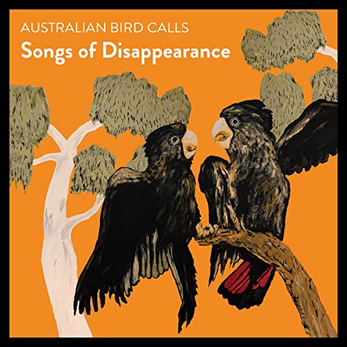 Mallee Whipbird