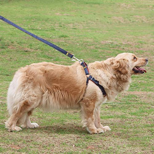 Medianas Mascota tracción Paseo de Cuerda de Perro pequeño artefacto y Equipo Perro Pectoral Mascotas (Color : Black, Size : XL)