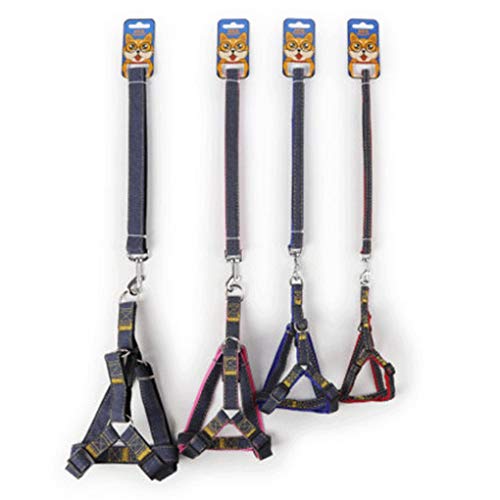 Medianas Mascota tracción Paseo de Cuerda de Perro pequeño artefacto y Equipo Perro Pectoral Mascotas (Color : Black, Size : XL)