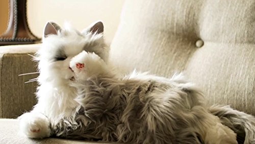 Memorable Pets Muñeco de peluche de gato tabby de terapia para la persona con pérdida de memoria normal del envejecimiento o cuidadores Gris