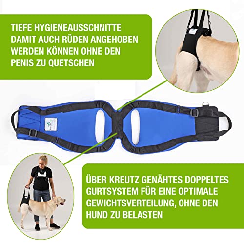 NATURE PET Accesorio Posterior para Transportar Perros - Asistencia en la rehabilitación y en Caso de Problemas en la Columna Vertebral, la Cadera y Las Rodillas - Negro - M