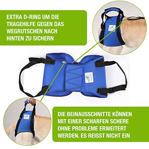 NATURE PET Accesorio Posterior para Transportar Perros - Asistencia en la rehabilitación y en Caso de Problemas en la Columna Vertebral, la Cadera y Las Rodillas - Negro - M