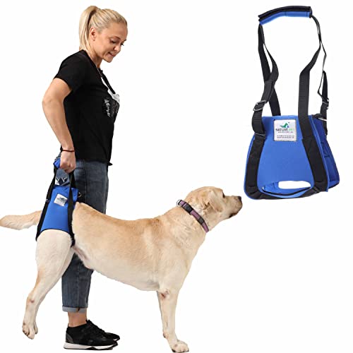 NATURE PET Accesorio Posterior para Transportar Perros - Asistencia en la rehabilitación y en Caso de Problemas en la Columna Vertebral, la Cadera y Las Rodillas - Negro - M