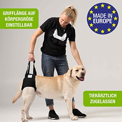 NATURE PET Accesorio Posterior para Transportar Perros - Asistencia en la rehabilitación y en Caso de Problemas en la Columna Vertebral, la Cadera y Las Rodillas - Negro - M