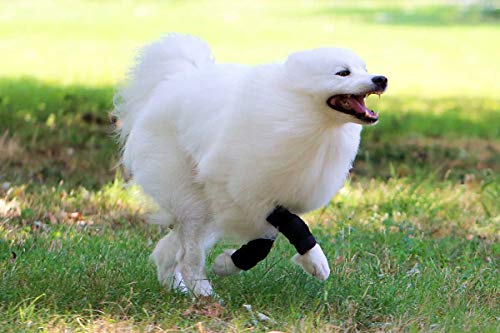 NATURE PET - Vendaje de la articulación carpometacarpiana de Perro para Deporte/Vendaje de Soporte para Perros CarpoLock Sport - Gris - XL