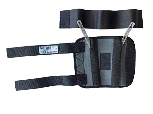 NATURE PET Vendaje Premium para la articulación carpometacarpiana de Perros/Vendaje para la articulación carpiana de Perros/Vendaje para Las extremidades Delanteras - Gris - L