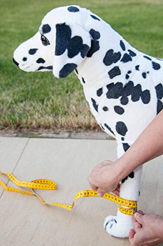 NATURE PET Vendaje Premium para la articulación carpometacarpiana de Perros/Vendaje para la articulación carpiana de Perros/Vendaje para Las extremidades Delanteras - Gris - L