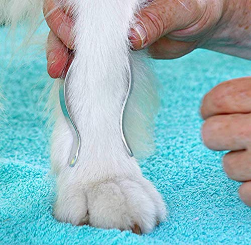 NATURE PET Vendaje Premium para la articulación carpometacarpiana de Perros/Vendaje para la articulación carpiana de Perros/Vendaje para Las extremidades Delanteras - Gris - L