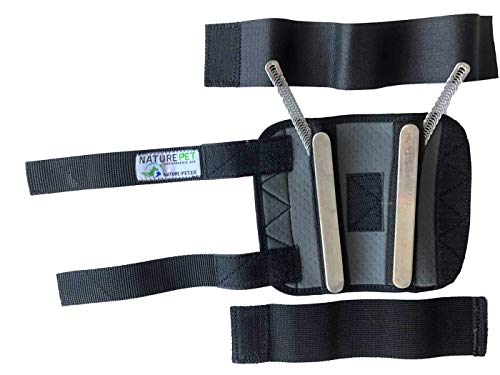 NATURE PET Vendaje Premium para la articulación carpometacarpiana de Perros/Vendaje para la articulación carpiana de Perros/Vendaje para Las extremidades Delanteras - Gris - L