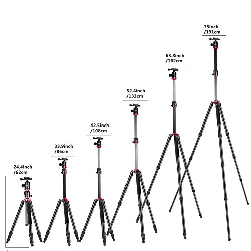 Neewer 10089347 - Monopié Trípode de Cámara con Columna Central para Tiro Panorámico, Aleación de Aluminio 191cm, Negro y Rojo