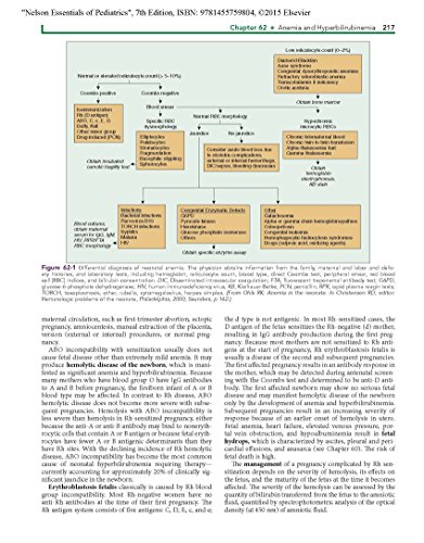 Nelson Essentials of Pediatrics: With STUDENT CONSULT Online Access, 7e