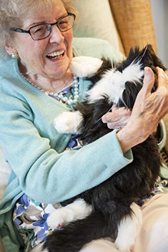 NUEVO Joy for All Robotic Reclining Black & White Tuxedo Cat - Terapia de animales de peluche para personas con pérdida de memoria del envejecimiento y los cuidadores