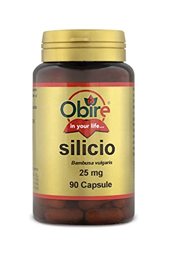 Obire - Silicio 25mg , 90 Cápsulas ( 1 unid. )